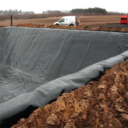 Gse Geomembrane Used for Pond/Landfill/Tunnel