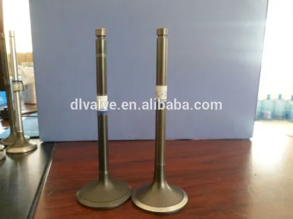 intake&exhaust valves for 6HK1