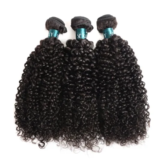 Afro Kinky Curly Wave Hair Bundles Brazilian Curly Hair 100% Remy Virgin Human Hair Extensions Natural Color Double Weft Weave
