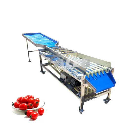 Automated Sorting Machines for Walnuts, Dates, Taro, and Strawberries