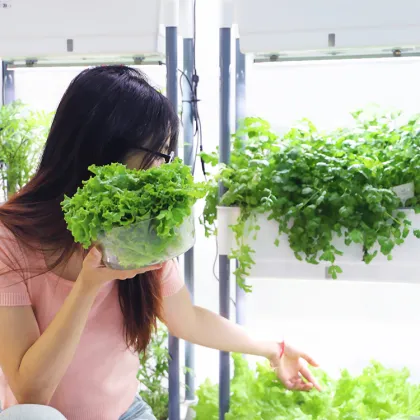 Smart Self-Watering Indoor Kitchen Herb Garden System