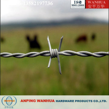 Galvanized Barbed Wire Tattoo ( Professional factory ISO9001)