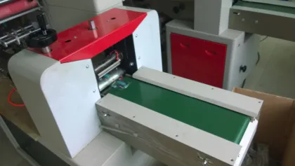 Fully Automatic Horizontal Soap Pillow Packing Machine