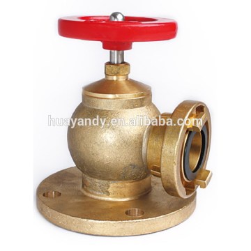 New coming good quality 2 way fire hydrant