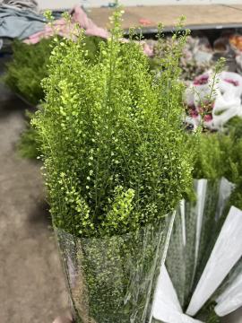 Utilisation d'herbe de forêt verte de qualité supérieure pour la décoration de mariage