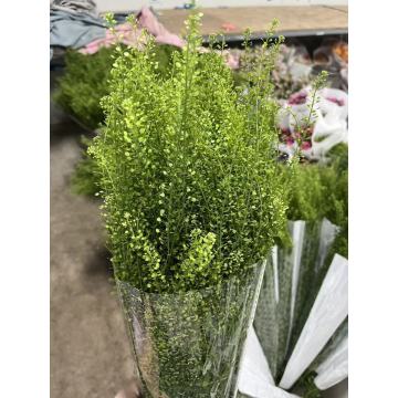 استخدام عشب الغابة الخضراء الفاخر لتزيين حفلات الزفاف