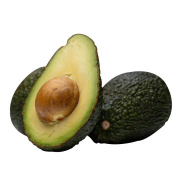 High Quality Avocado Powder 10/1 Avocado Fruit Extract Powder
