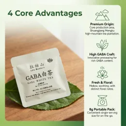 GABA White Tea Mini Square Slice (8g Independent Sachet