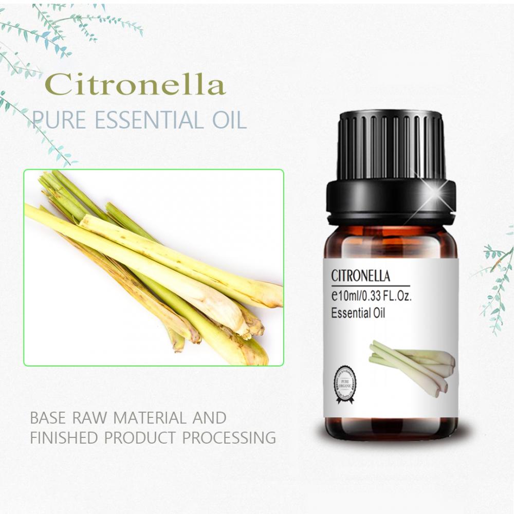 New Natural Citronella Essential Oil SkinCare Soothe Mind