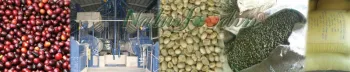 Coffee beans