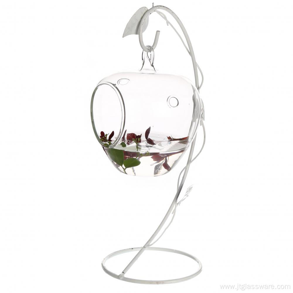 Hanging Glass Apple Shape Orb for all green plants