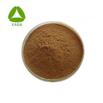 Burdock Fruit Extract 20% Arctiin Powder 20362-31-6