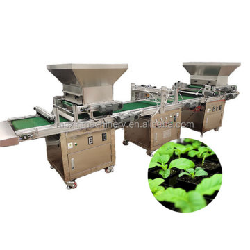Efficient MX Sprinkler Tray Seeder Machine for Tobacco Nursery Sowing