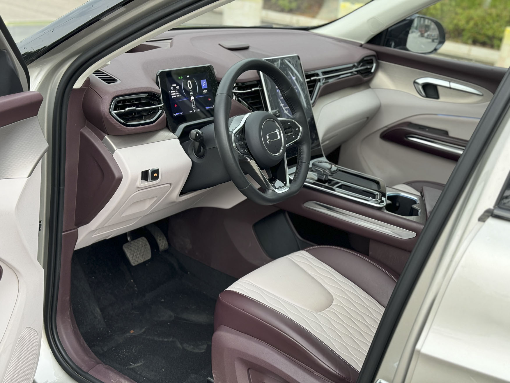 2.0T Automatic Flagship Model