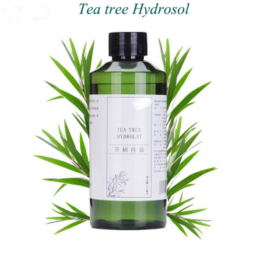 Organic Tea Tree Hydrosol at a bulk price