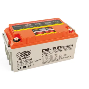 OT65-12(GEL)/DS/CL Intelligent Battery-GEL Long Life Series