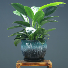 Cheap Unique Small Ceramic Flower Pots