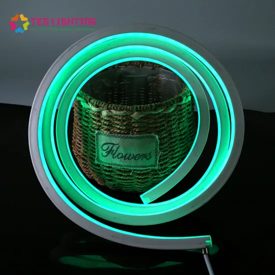 Waterproof IP68 RGB Flex Neon Best Outdoor