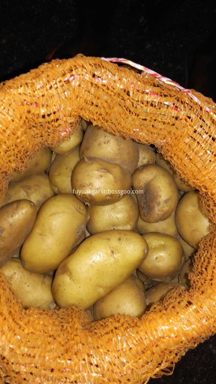 fresh potato 60-120g
