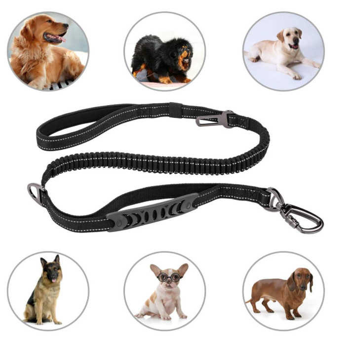 4-6FT Bungee Dog Leash