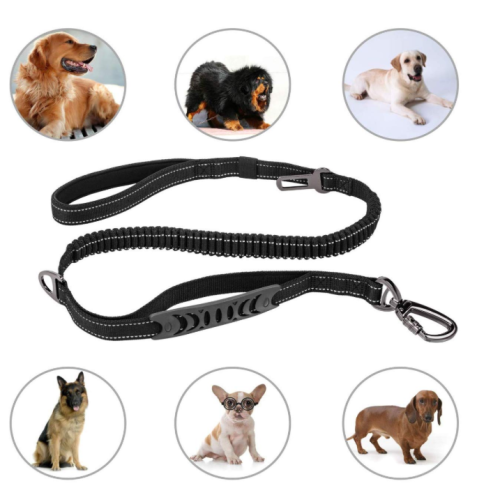 4-6ft bungee dog leash