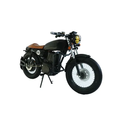 Surron Sling Shots and Panigale Electric Motorcycles: The Ultimate Electric Motorcycle Guide