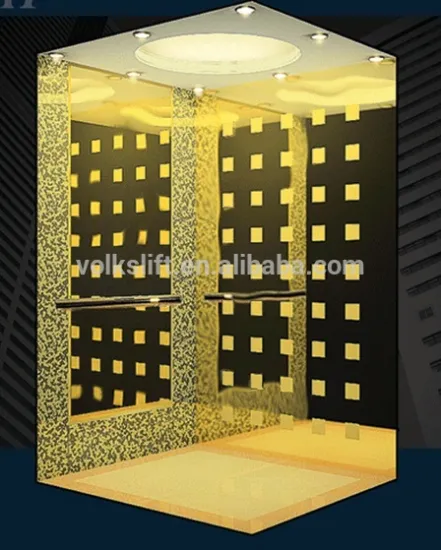 400KG Passenger Home elevator with good outlook