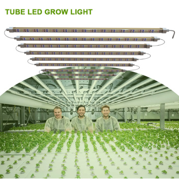 Kits de luz de cultivo LED