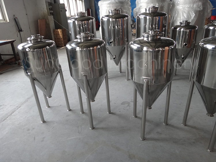 50l Fermenter 2