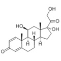 Prednisolone CAS 50-24-8