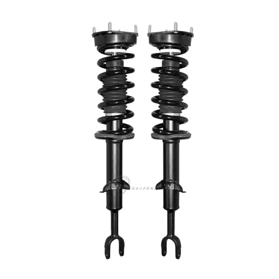 Auto Suspension System Air Spring Shock Absorber for Audi A8 D3 4E0616039AF 4E0616040AF 4E0616001