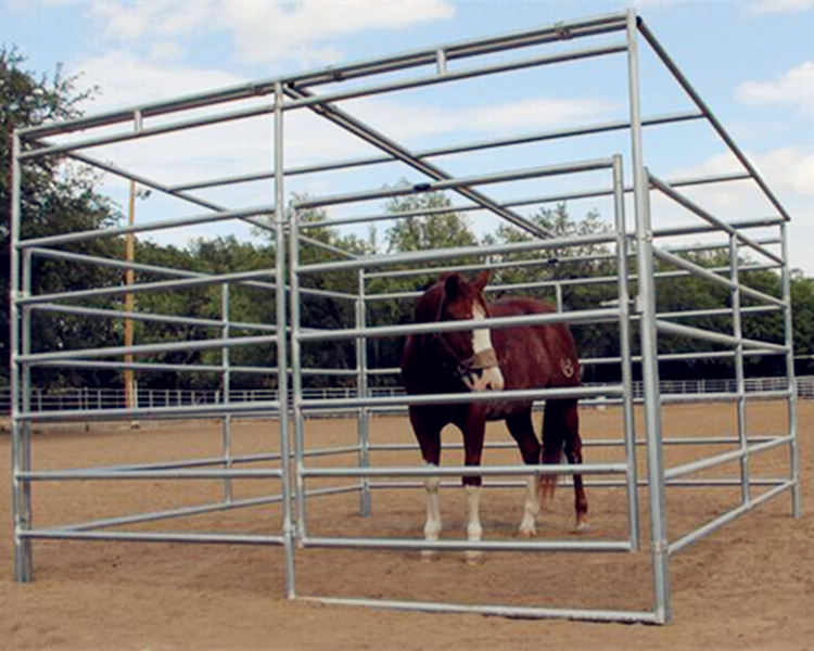 Galvanized  horse  fence panel