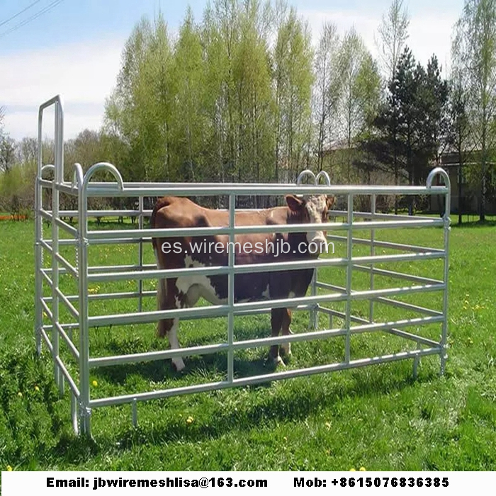 Valla de caballo de metal galvanizado sumergido caliente