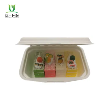 Bento Box Disposable Takeaway Eco Disposable Lunch Box