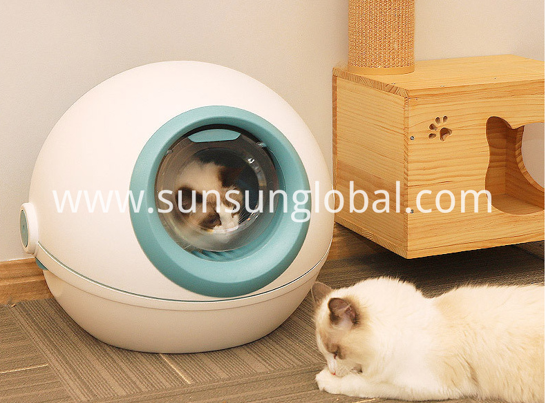 Best Cat Litter Boxes