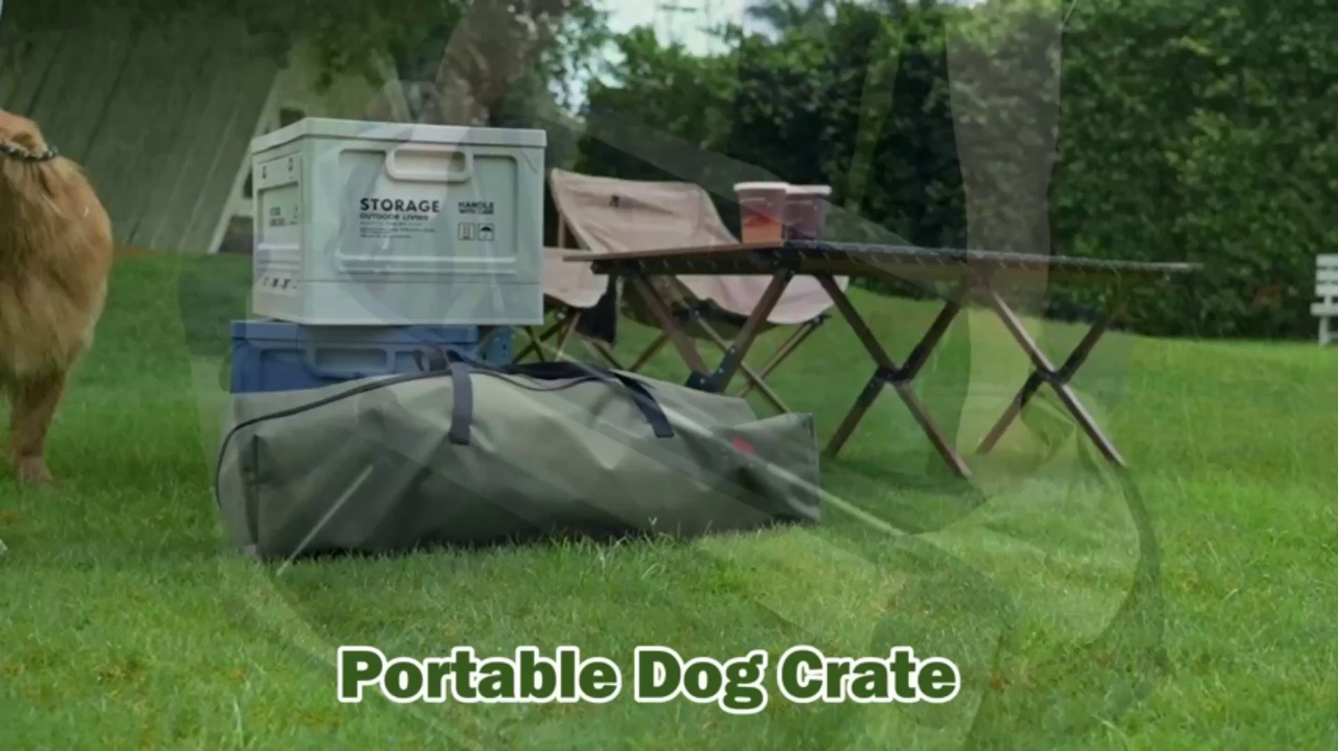 Brighthomey 36 Inch Collapsible Travel Crate for Medium to Large Dogs