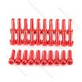 M3M4M5M6 Black Red Color Anodized Aluminum Screw