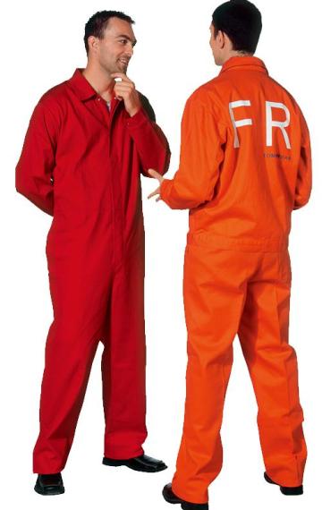 Hot Sale Fr Cotton Workwear Coverall