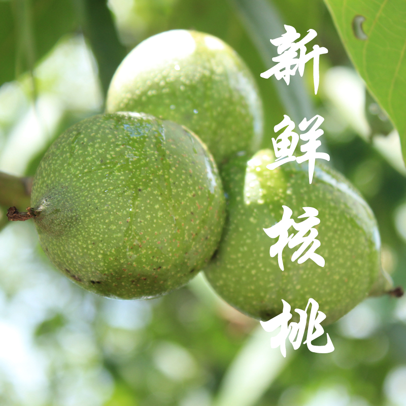 a73c1d9a26bf454e83b90cd4036a7a72