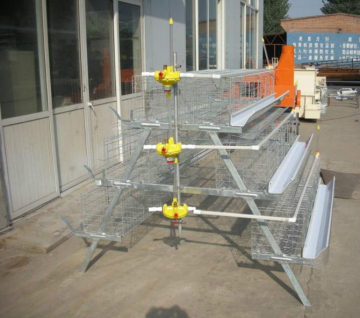Poultry Cage for Chicken Farm Use, Poultry Farm Layer Chicken Cage Galvanized Wire Mesh Cage