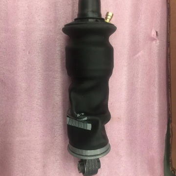 Rear Air Suspension Shock Absorber for Heavy Trucks - 21171976 22040666 7421821027 CB0213