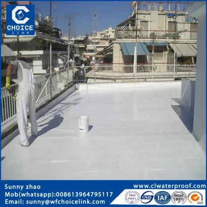 one component water based waterproofing paint