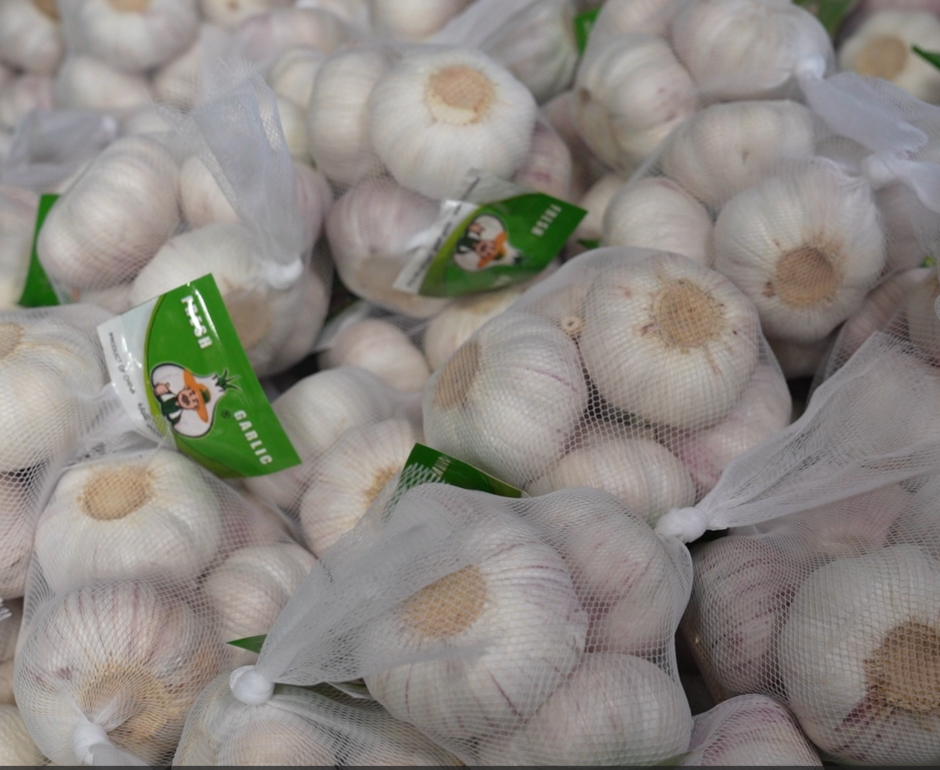 netted fresh garlic