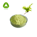 China DHM 50% Vine Tea Extract Dihydromyricetin Powder Supplier