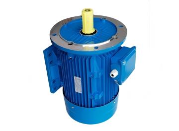 XTPME-Electronic integrated permanent magnet motor