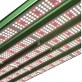 LED Grow Lights เต็มสเปกตรัม