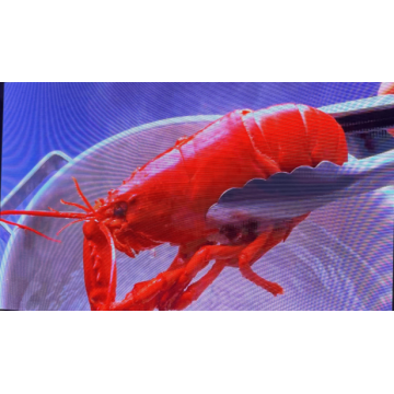 Dış Mekan Tam Renkli LED Cam Ekran