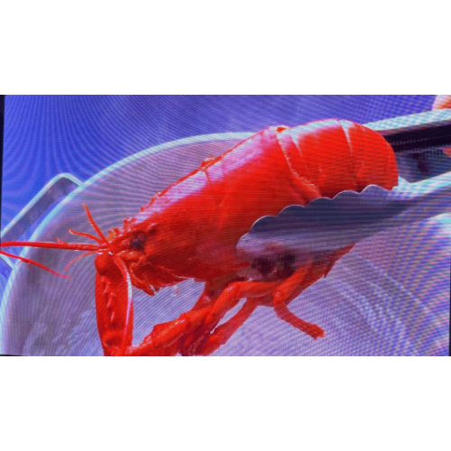 Dış Mekan Tam Renkli LED Cam Ekran