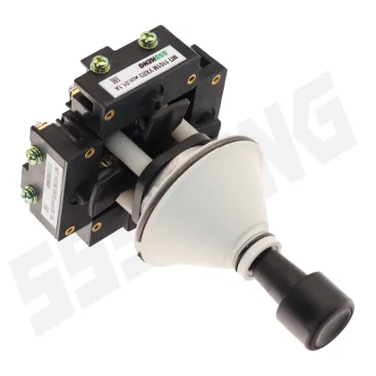 SSSHENG Electric Switches Supplier: PK12-21-821D Cross Limit Switches & Push Button Post Switches