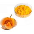 Private Label Quality Bulk Pumpkin Juice Powder